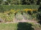 Garten 2014