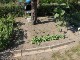 Garten 2014