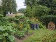 Garten 2014