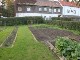 Garten 2014