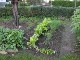 Garten 2014