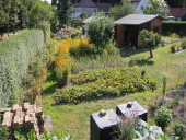 Garten 2014