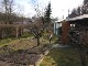 Garten 2015