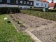 Garten 2015