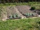 Garten 2015