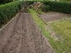 Garten 2015