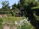 Garten 2015