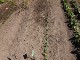 Garten 2015