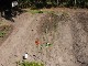 Garten 2015