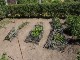 Garten 2015