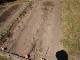Garten 2015