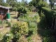 Garten 2015