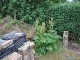 Garten 2015