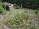 Garten 2015