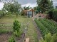 Garten 2015