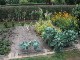 Garten 2015