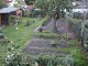 Garten 2015