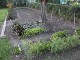 Garten 2015