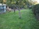 Garten 2015