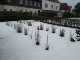 Garten 2017