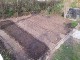 Garten 2017