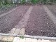 Garten 2017