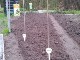 Garten 2017