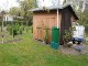 Garten 2017