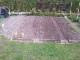 Garten 2017