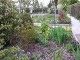 Garten 2017