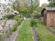Garten 2017
