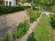 Garten 2017