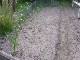 Garten 2017