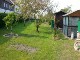 Garten 2017