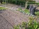 Garten 2017