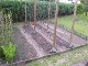 Garten 2017
