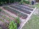 Garten 2017