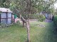Garten 2017