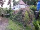 Garten 2017