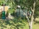 Garten 2017