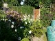 Garten 2017