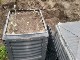 Garten 2017