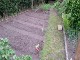 Garten 2017