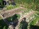 Garten 2017