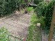 Garten 2017