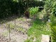 Garten 2017