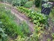 Garten 2017