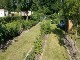 Garten 2017