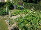 Garten 2017