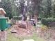 Garten 2017